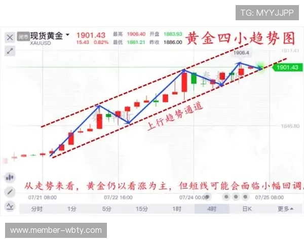 万博购彩技巧：分析彩票走势与历史数据，帮助您做出更加明智的投注决策